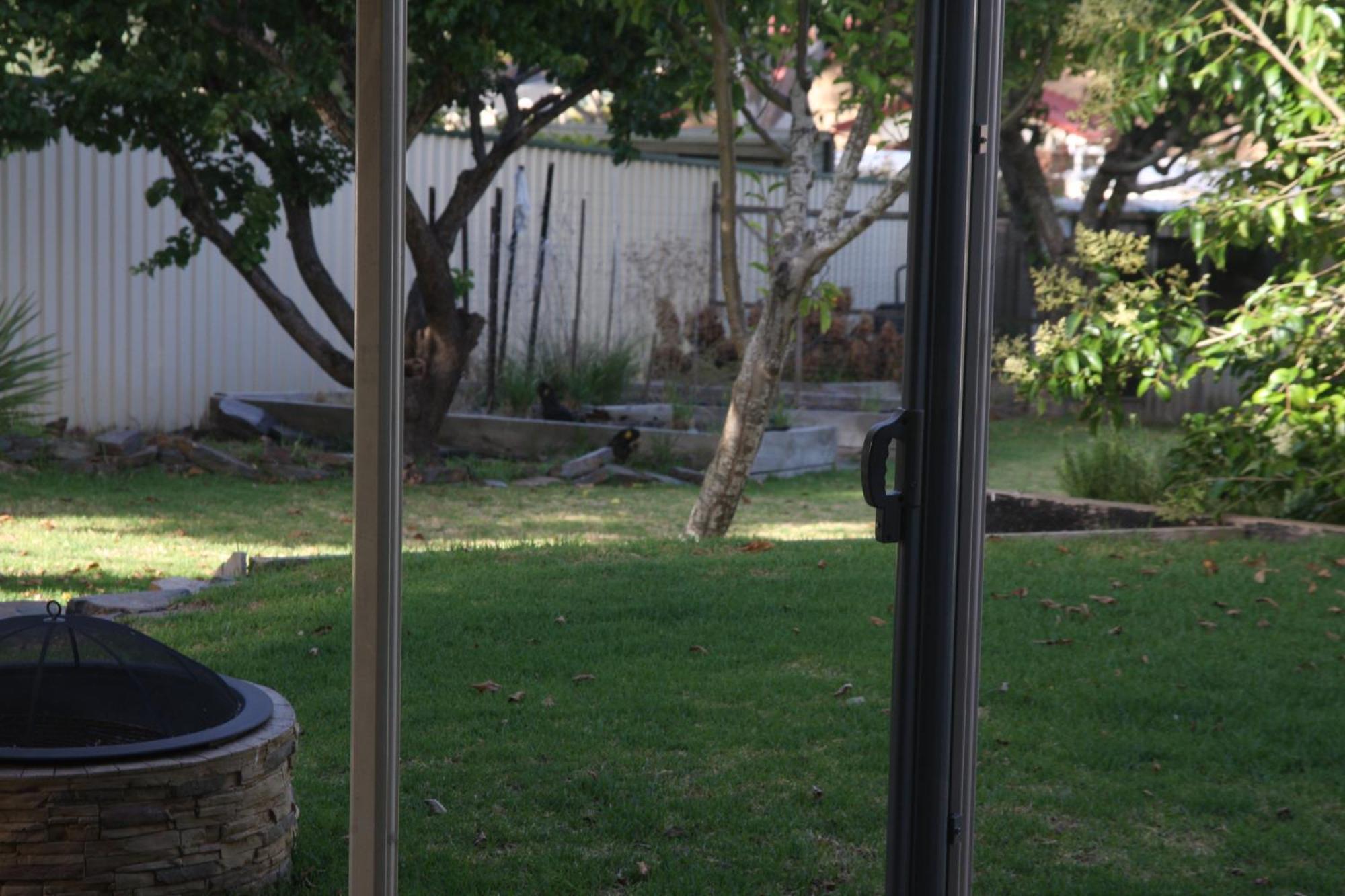 Owl Place In Hahndorf Exterior photo